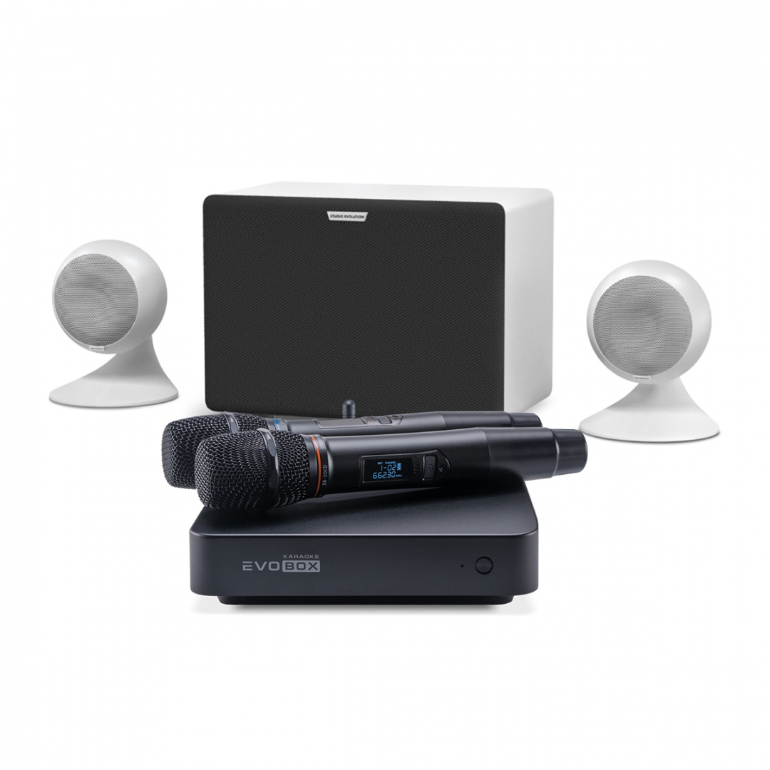 караоке-комплект EVOBOX Classic + EvoSound Sphere 2.1 в Калужской области